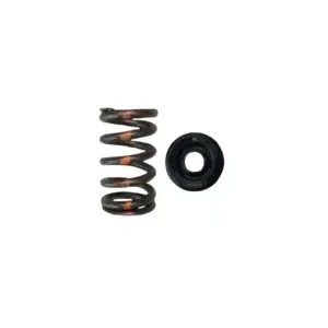Brian Crower Mazda MZR Valve Spring & Retainer - Steel Retainers